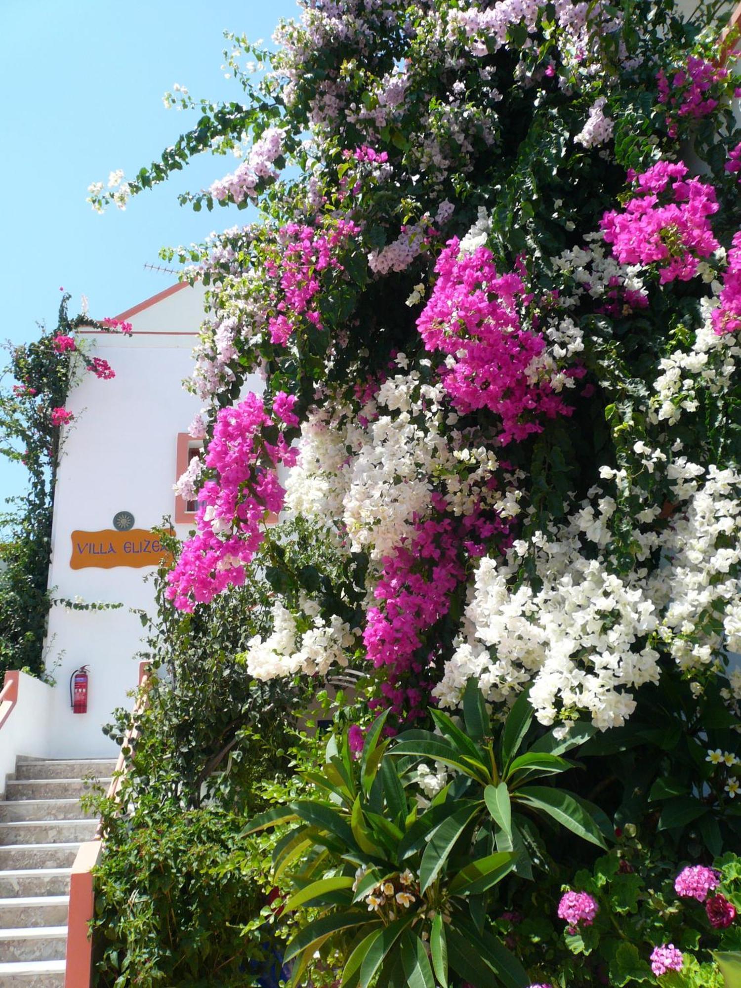 Villa Elizea Сталос Екстер'єр фото
