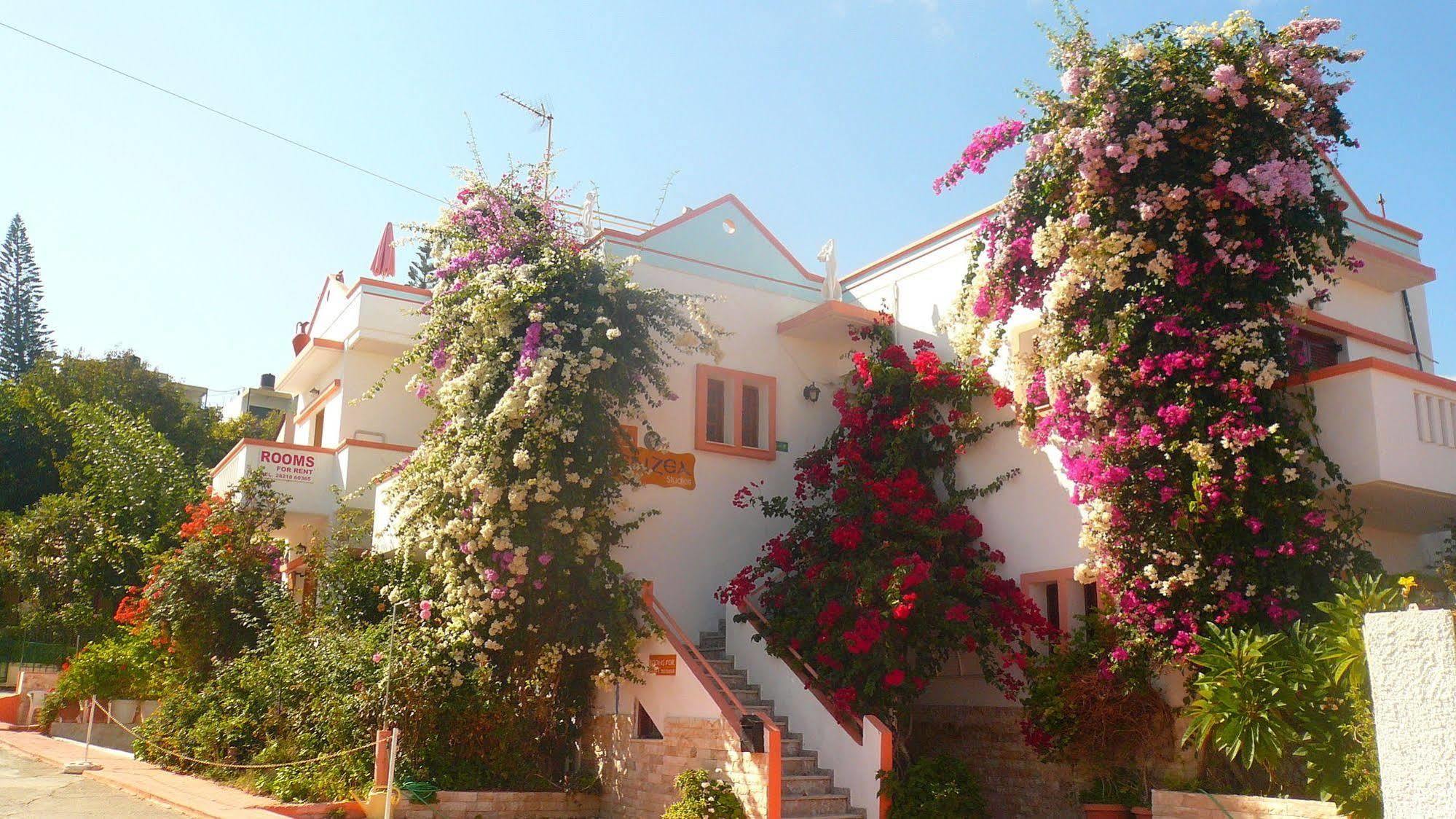 Villa Elizea Сталос Екстер'єр фото